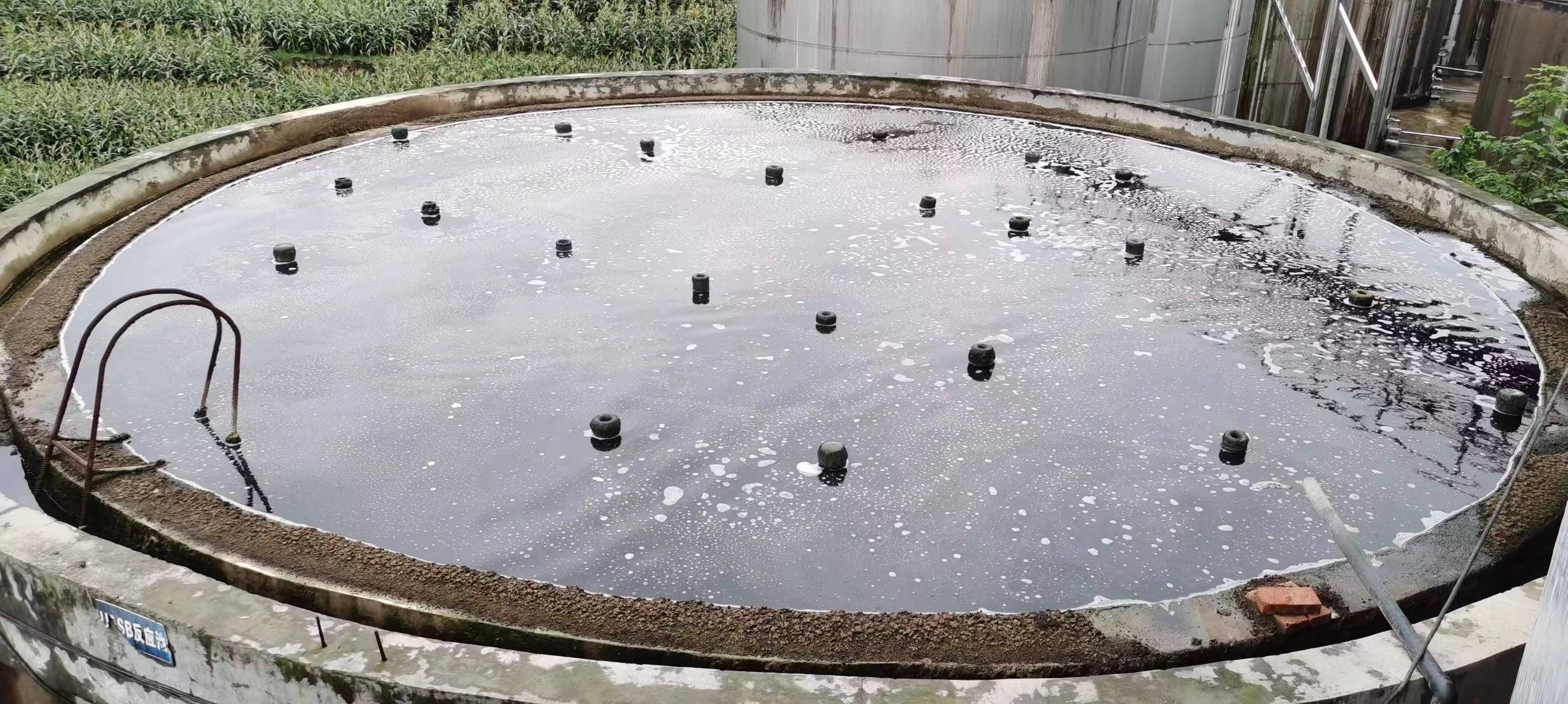 427e6b102e9c794edfc50cbfc432283c.jpg 427e6b102e9c794edfc50cbfc432283c.jpg